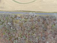 55305 Stoney Point Rd, Seneca, WI 54654