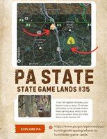 130 Baptist Hill Road, Hallstead, PA 18822