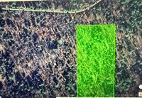 0 Round Mountain Road, Heavener, OK 74937