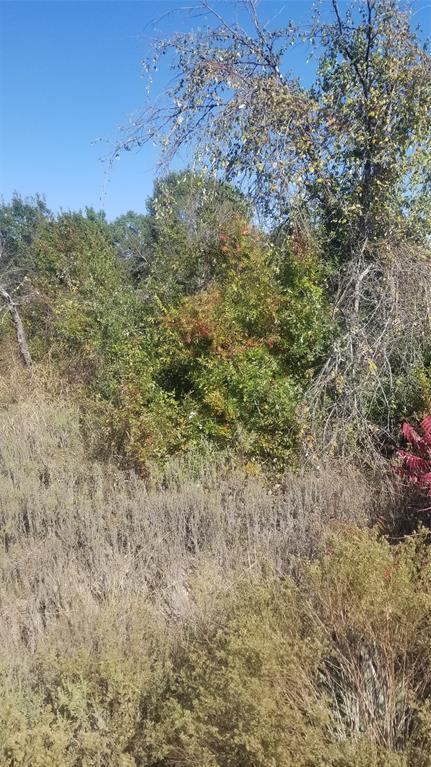 260 Scenic Wood Drive, Reno, TX 76020
