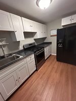 5 Manor Court, Springfield, MA 01118