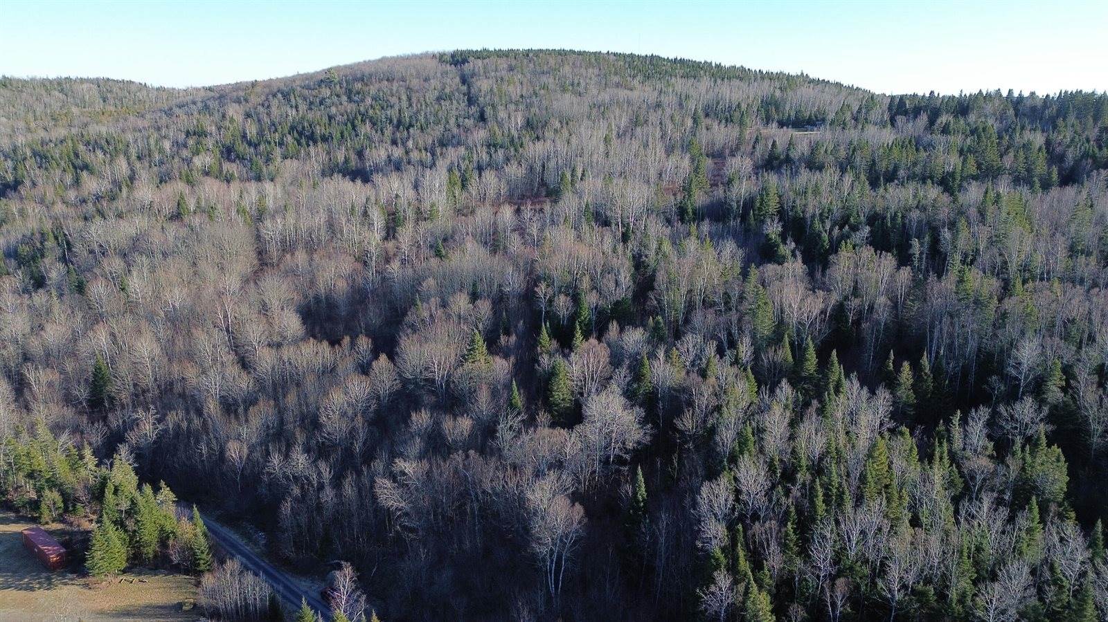 M5 L46D Black Bear Avenue, Frenchville, ME 04745