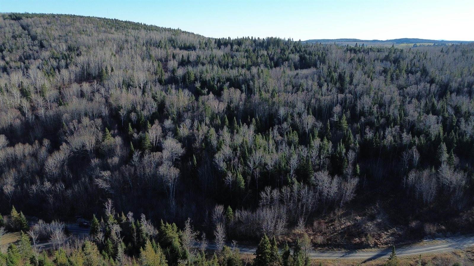 M5 L46D Black Bear Avenue, Frenchville, ME 04745