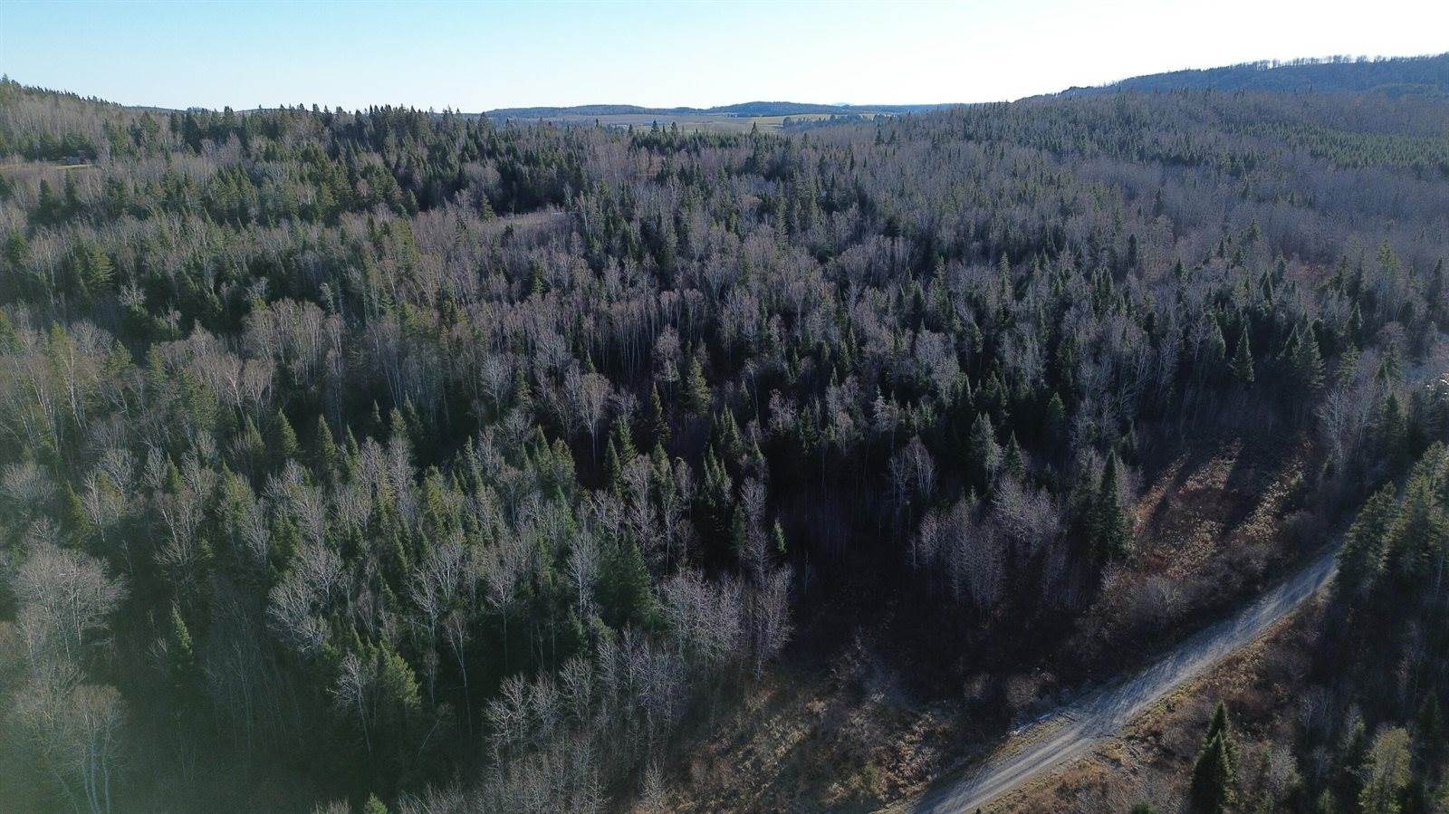 M5 L46D Black Bear Avenue, Frenchville, ME 04745