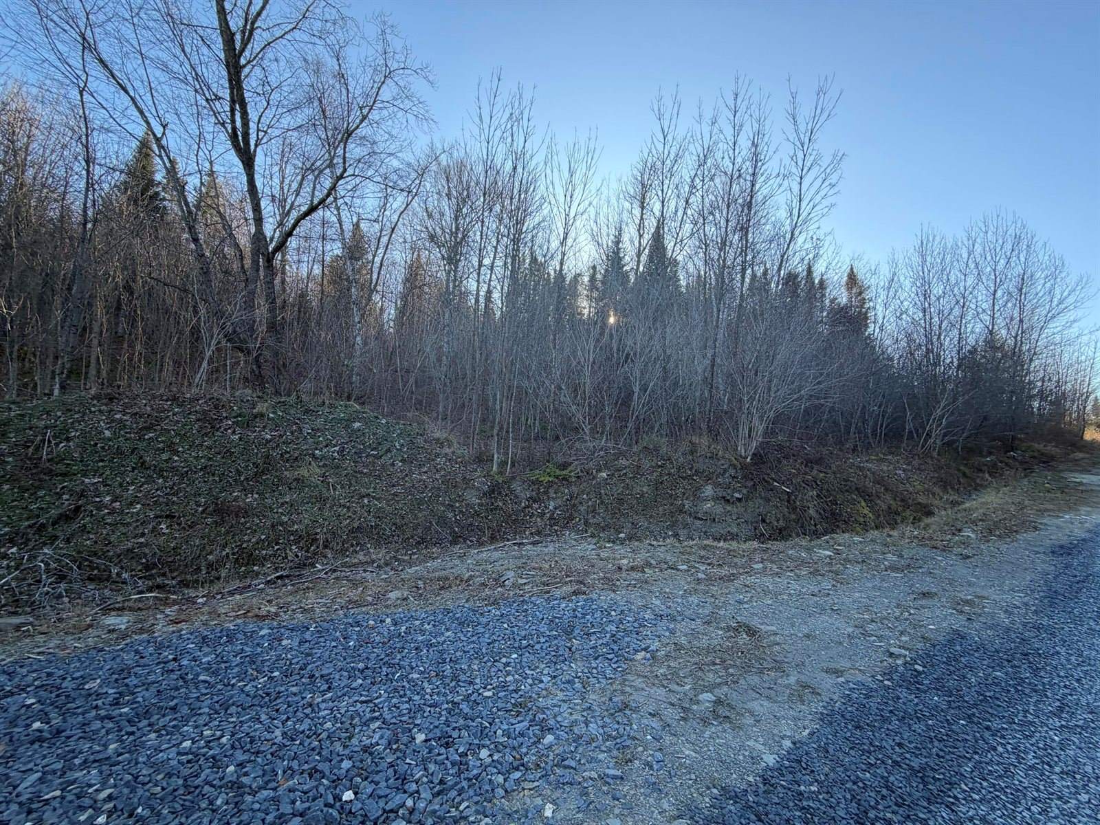 M5 L46D Black Bear Avenue, Frenchville, ME 04745