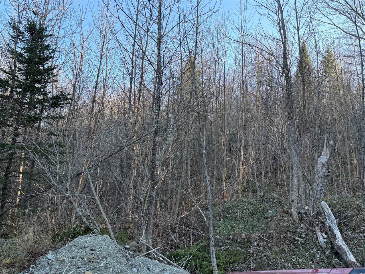 M5 L46D Black Bear Avenue, Frenchville, ME 04745