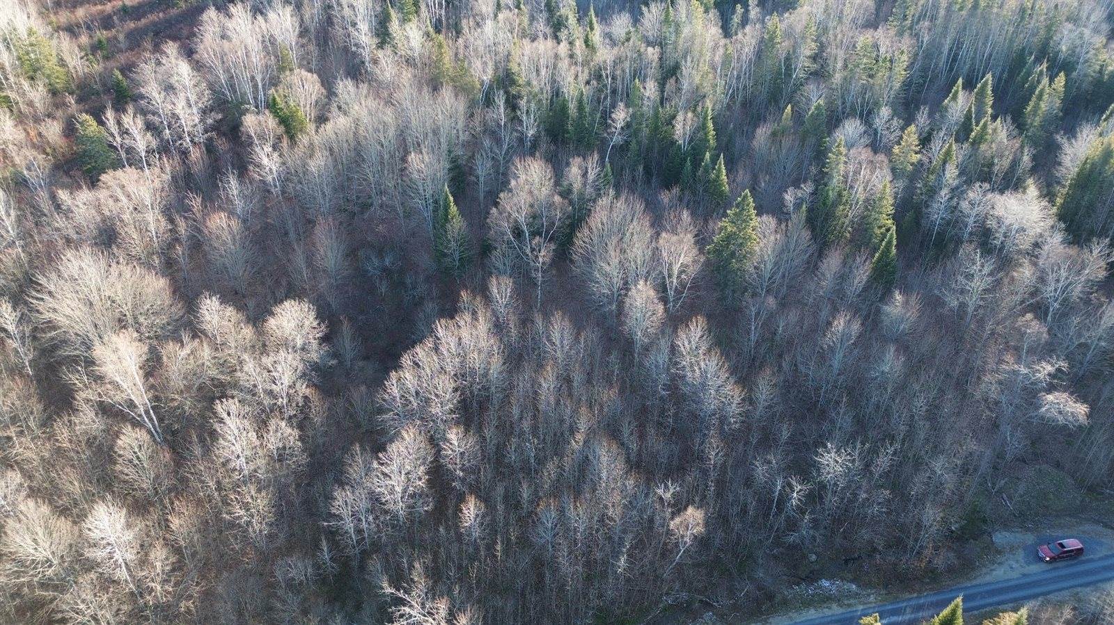 M5 L46D Black Bear Avenue, Frenchville, ME 04745