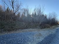 M5 L46D Black Bear Avenue, Frenchville, ME 04745