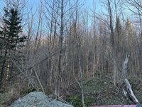 M5 L46D Black Bear Avenue, Frenchville, ME 04745