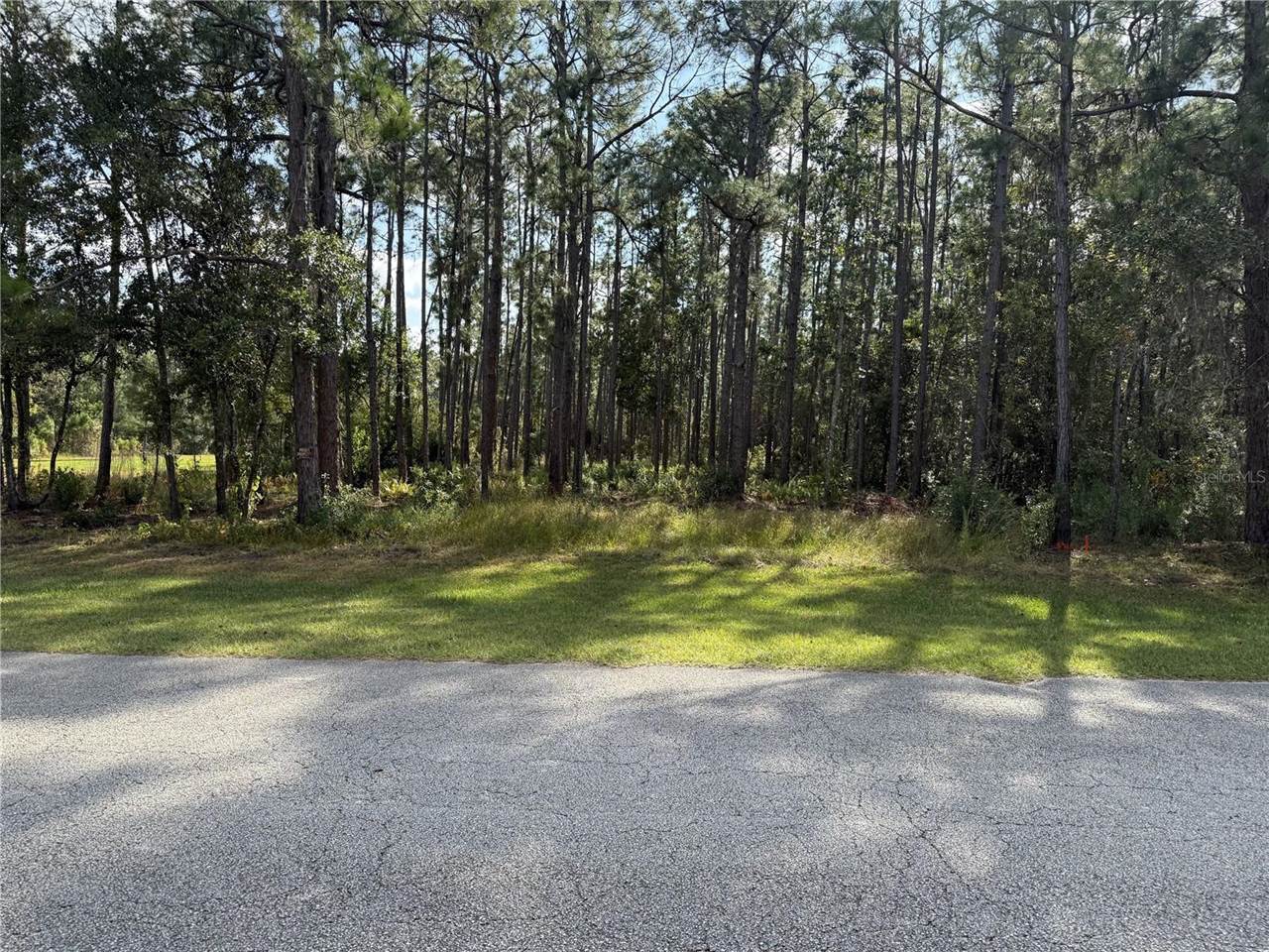 Limpkin Lane, Frostproof, FL 33843