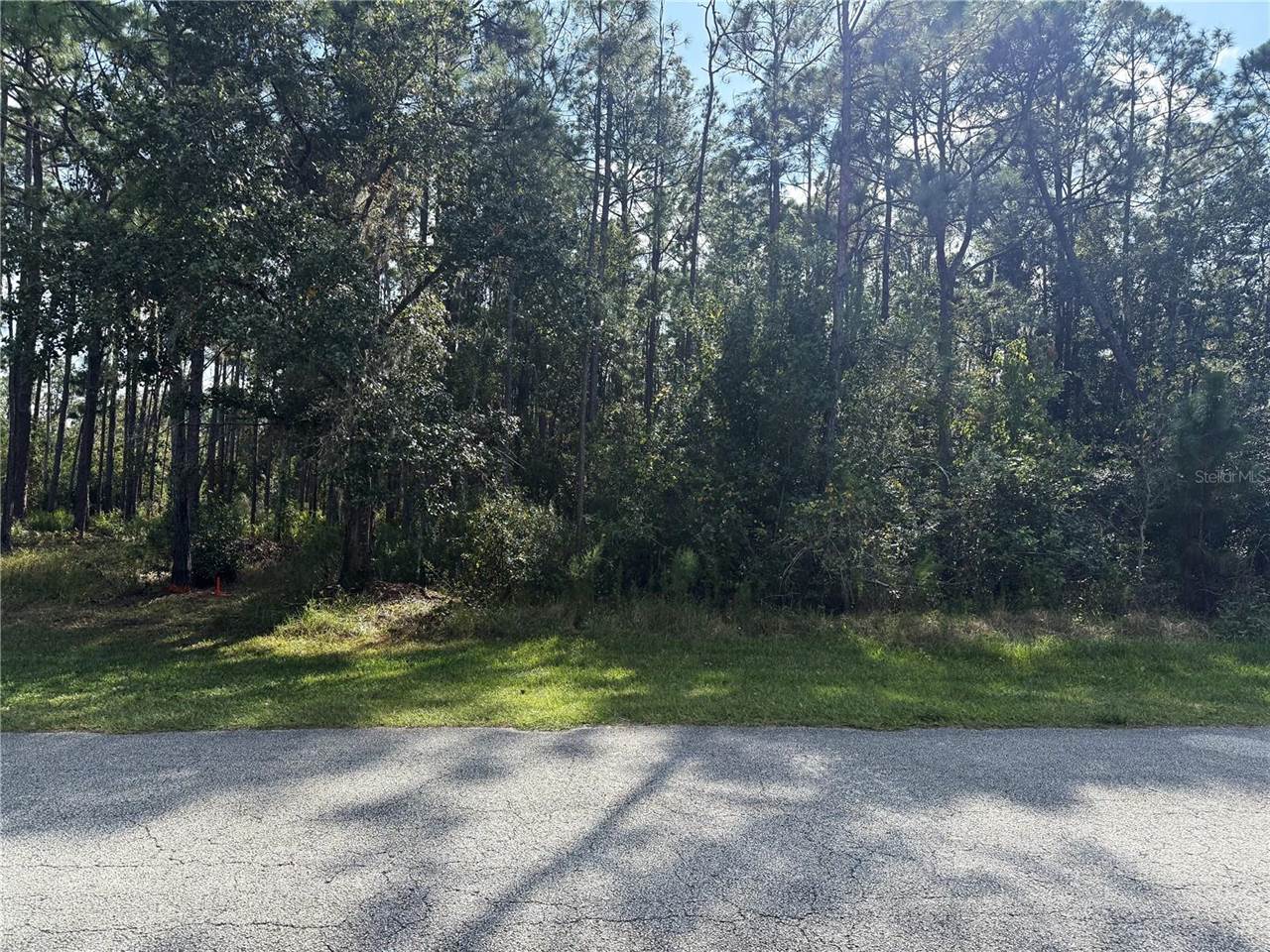 Limpkin Lane, Frostproof, FL 33843