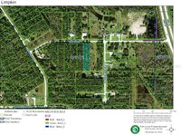 Limpkin Lane, Frostproof, FL 33843