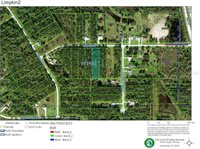 Limpkin Lane, Frostproof, FL 33843