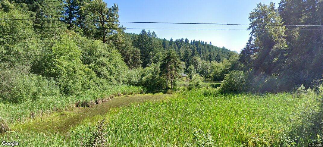 91703 Poodle Creek Rd, Noti, OR 97461