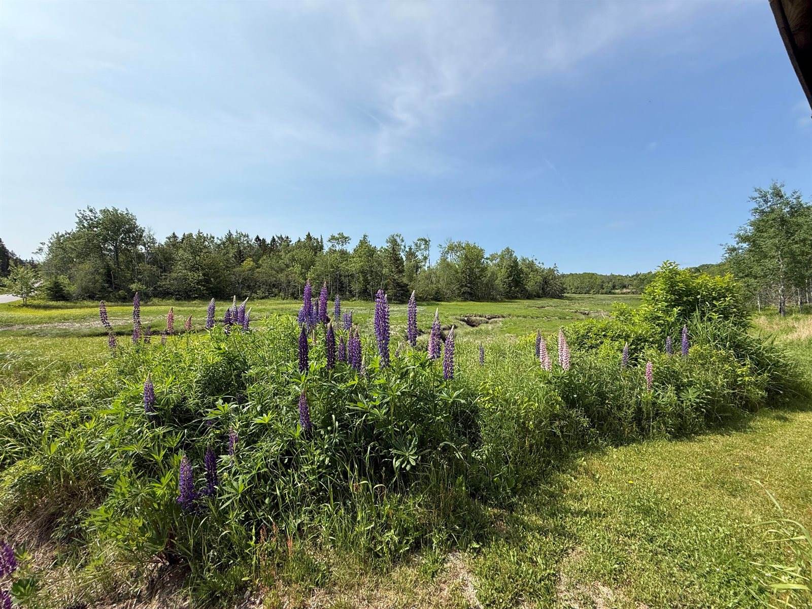 152 Kansas Road, Milbridge, ME 04658