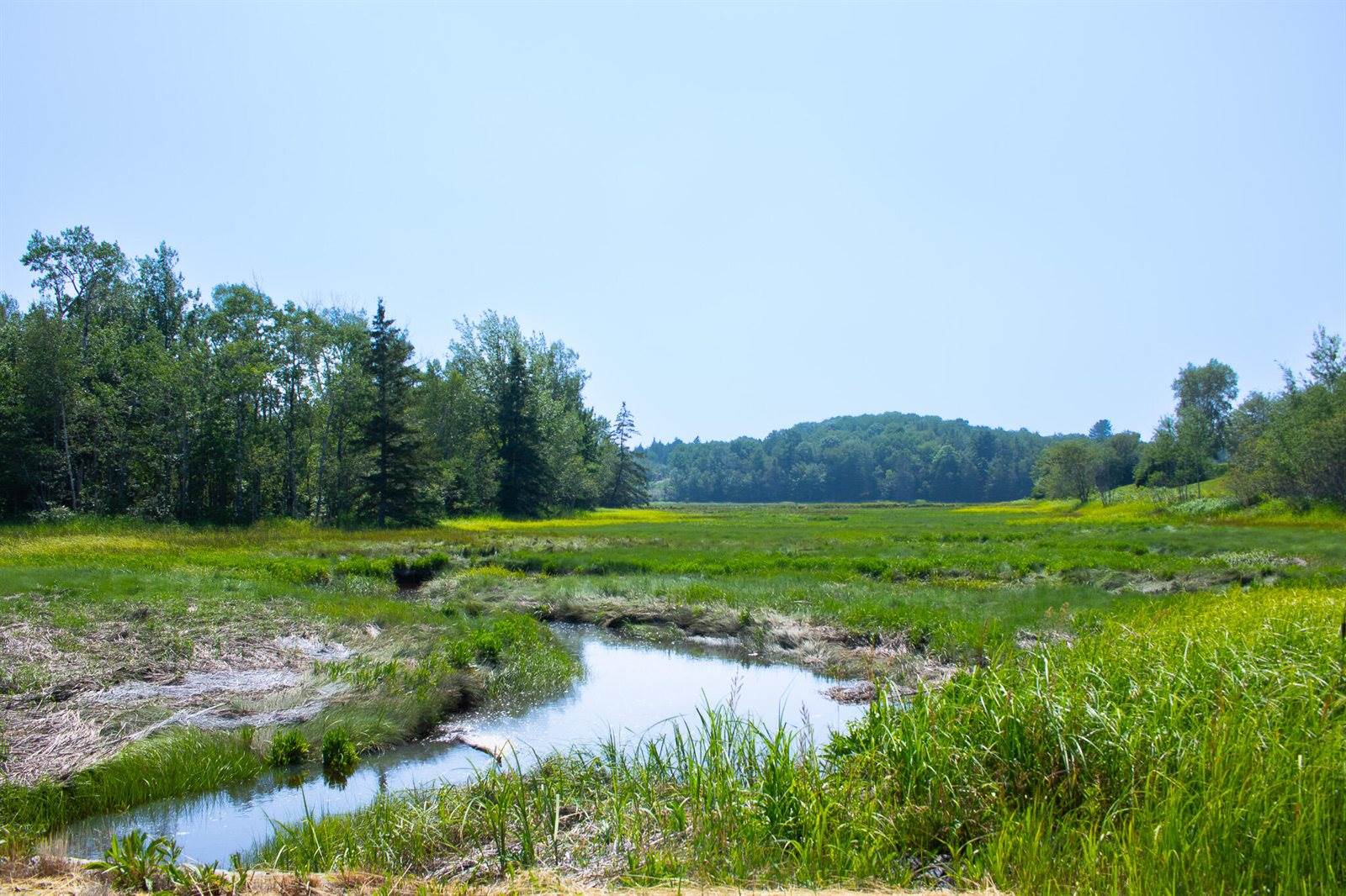 152 Kansas Road, Milbridge, ME 04658