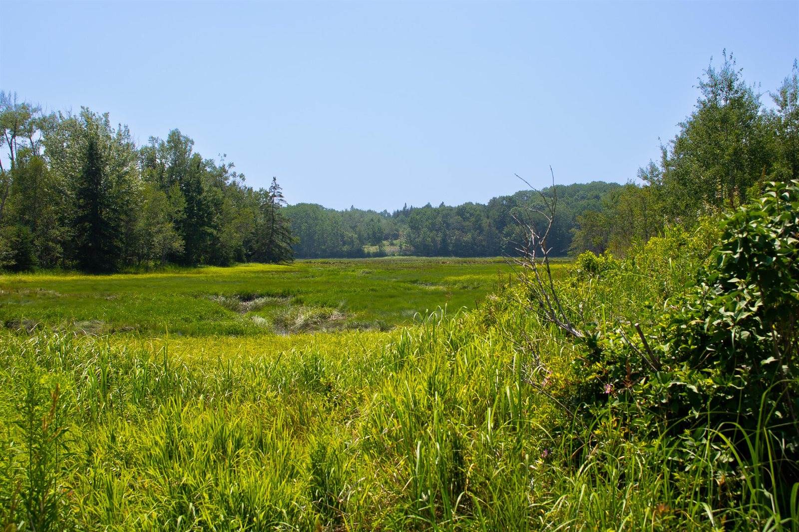 152 Kansas Road, Milbridge, ME 04658