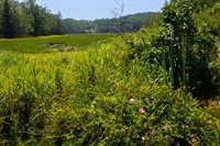 152 Kansas Road, Milbridge, ME 04658