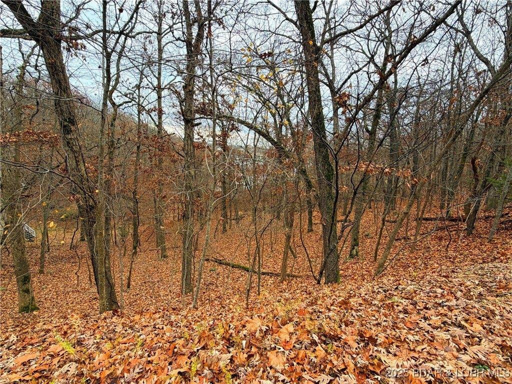 Lot 59 Grand Cove Road, Sunrise Beach, MO 65079