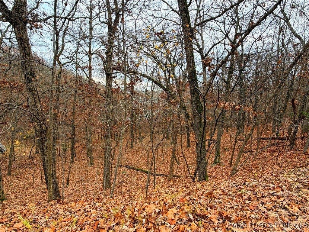 Lot 59 Grand Cove Road, Sunrise Beach, MO 65079