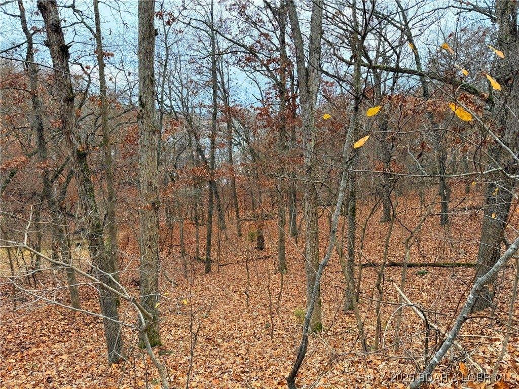 Lot 59 Grand Cove Road, Sunrise Beach, MO 65079