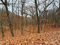 Lot 59 Grand Cove Road, Sunrise Beach, MO 65079