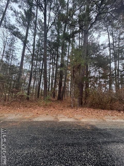 Lot 5 Hawthorne Dr, Bracey, VA 23919