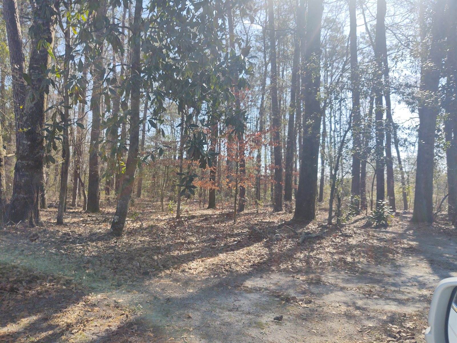 10839 Dorchester Road, Summerville, SC 29485