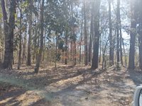 10839 Dorchester Road, Summerville, SC 29485