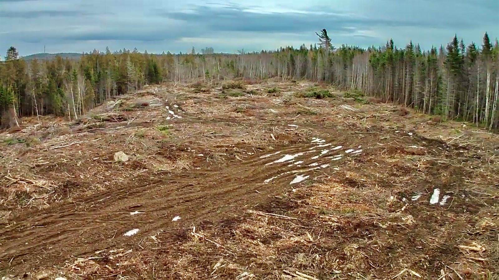 L1 Lively Brook Acres, Whiting, ME 04691