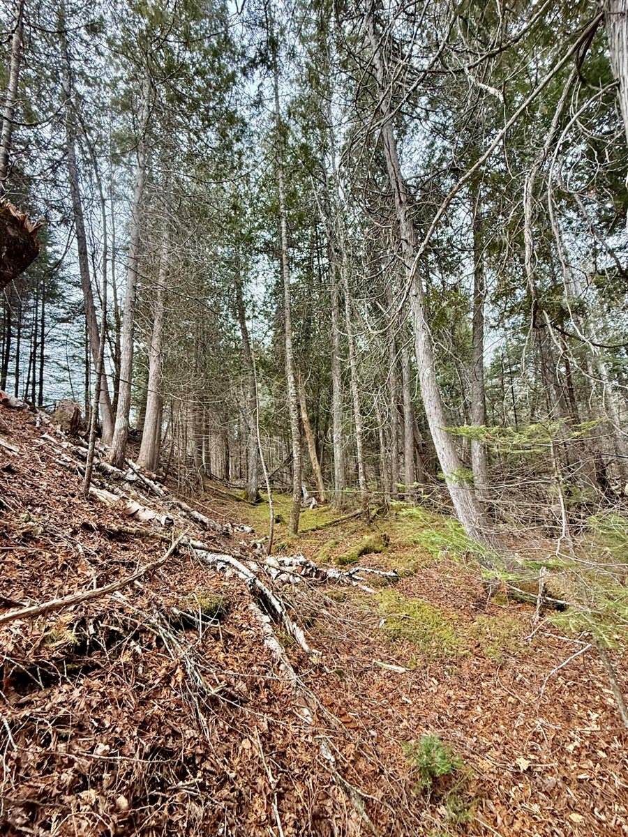 L1 Lively Brook Acres, Whiting, ME 04691