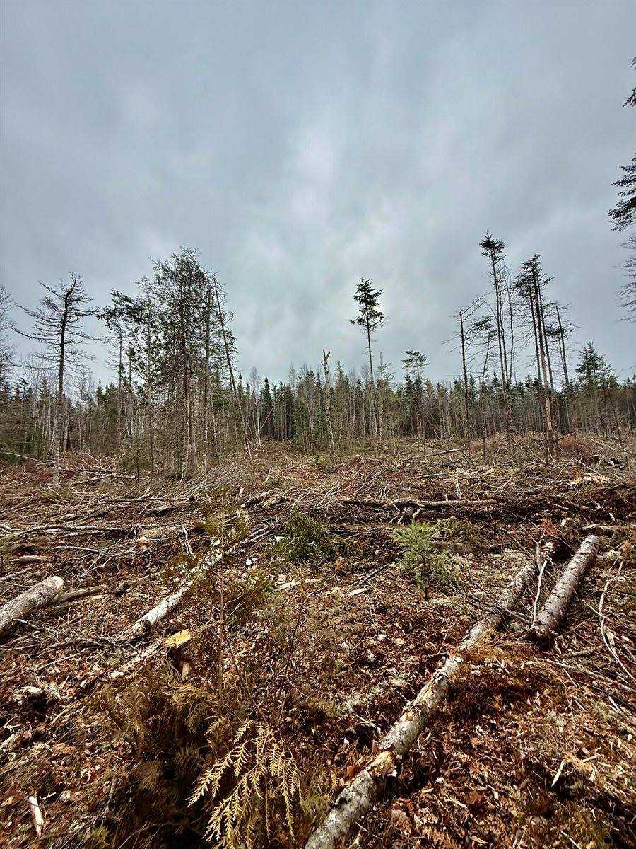 L1 Lively Brook Acres, Whiting, ME 04691