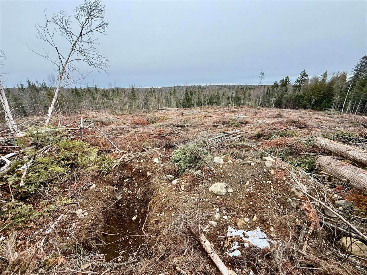 L1 Lively Brook Acres, Whiting, ME 04691