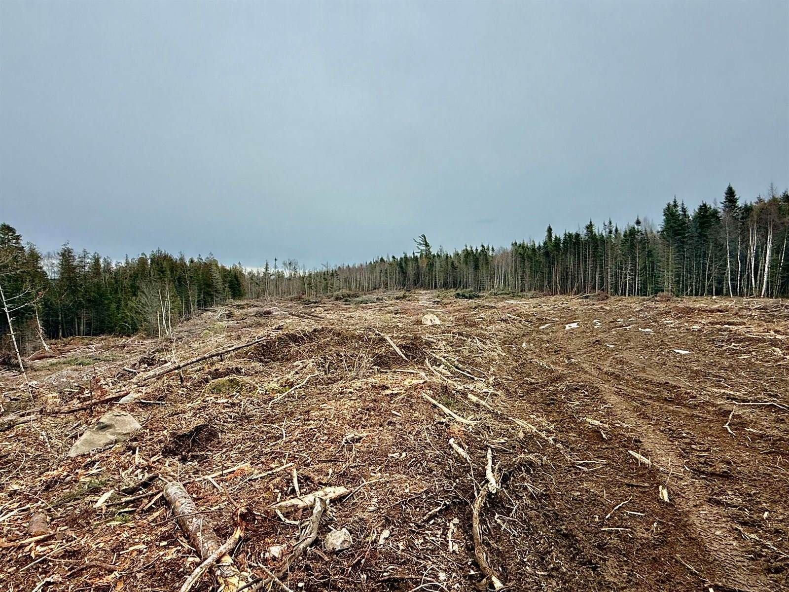 L1 Lively Brook Acres, Whiting, ME 04691