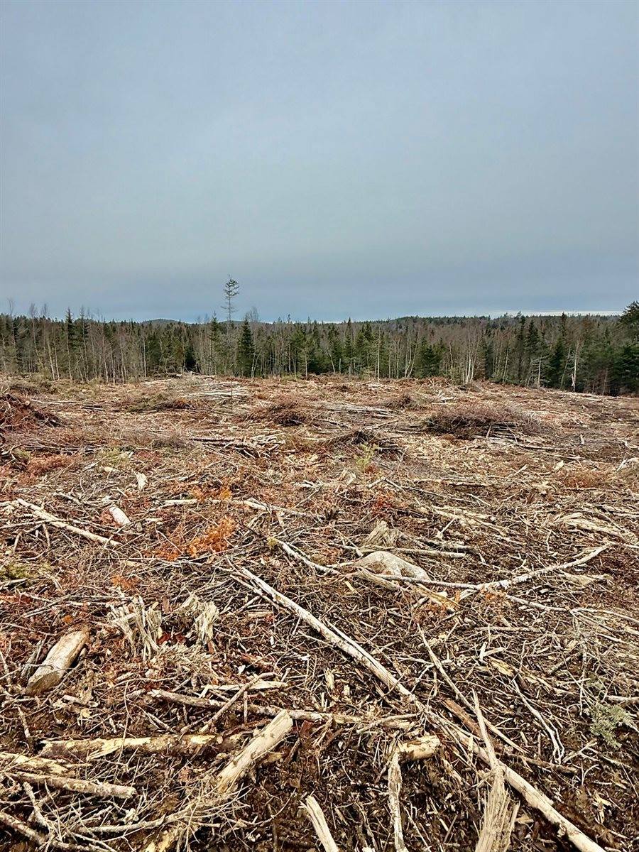 L1 Lively Brook Acres, Whiting, ME 04691