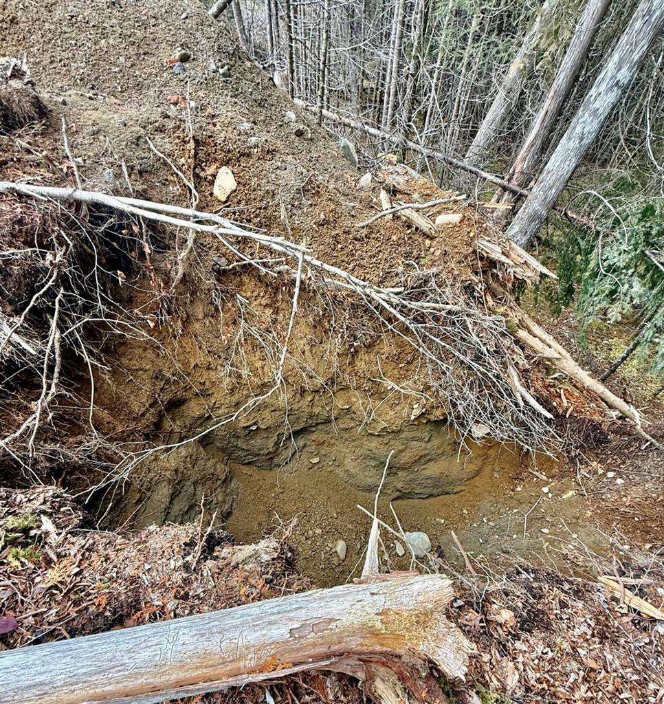 L1 Lively Brook Acres, Whiting, ME 04691