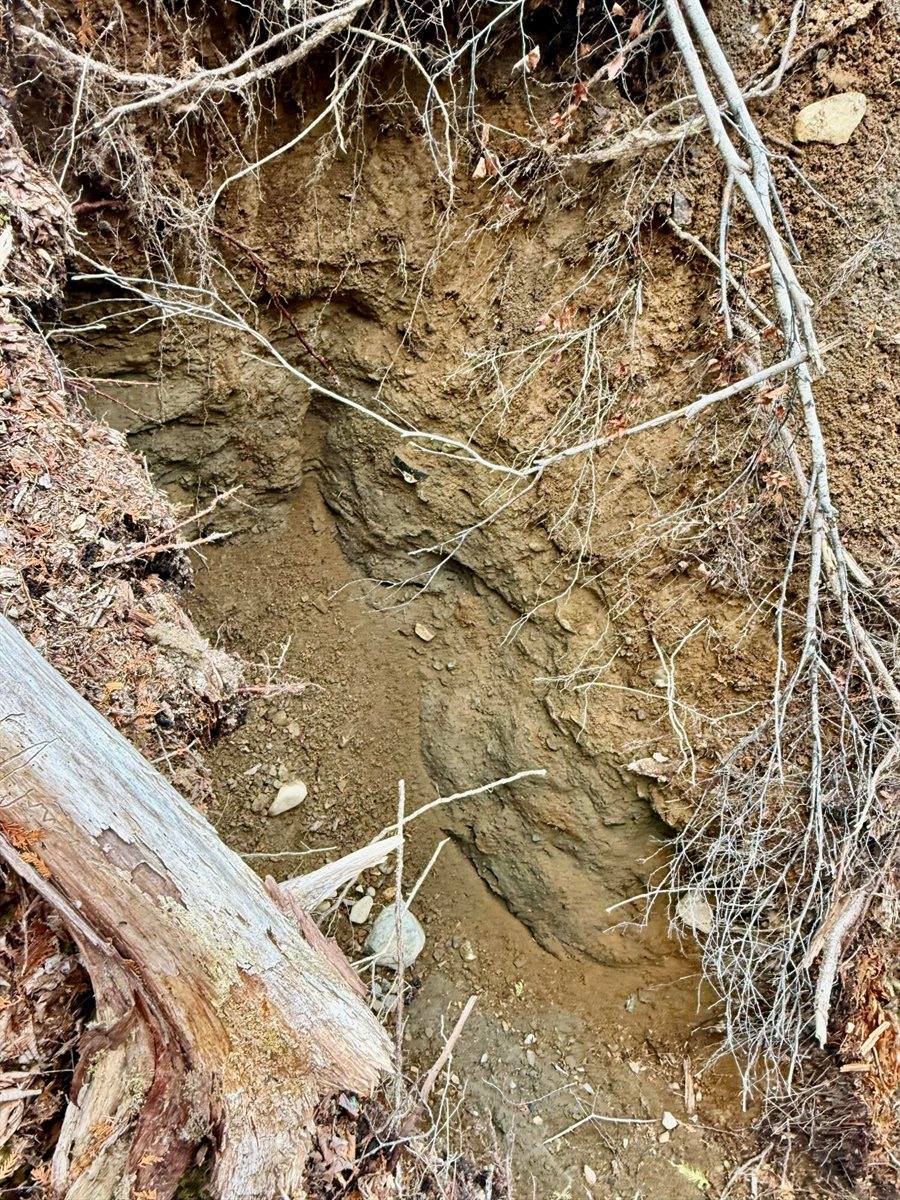 L1 Lively Brook Acres, Whiting, ME 04691