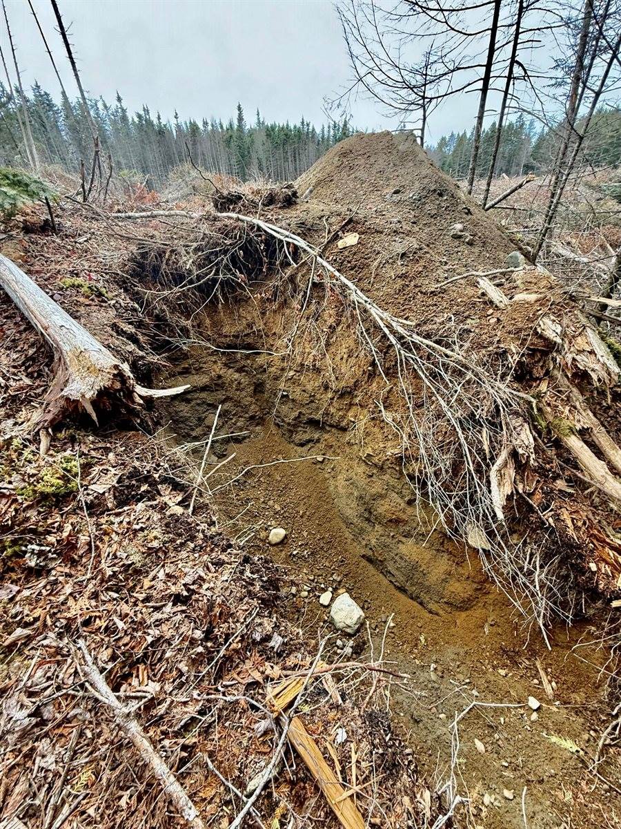 L1 Lively Brook Acres, Whiting, ME 04691