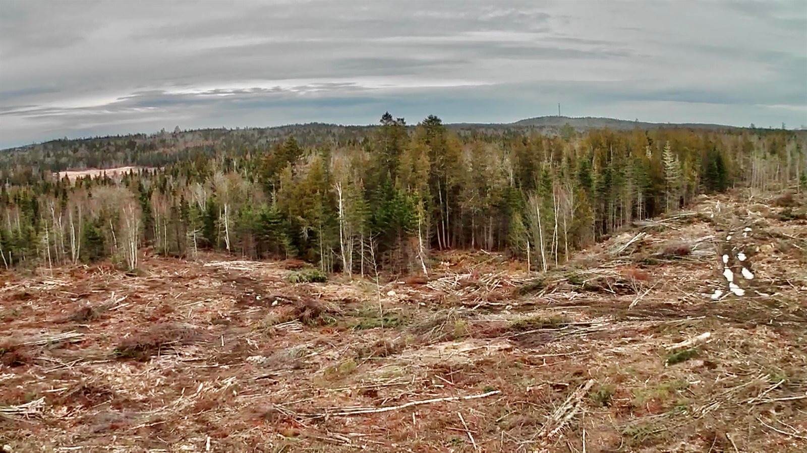 L1 Lively Brook Acres, Whiting, ME 04691