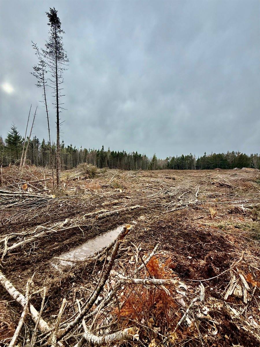 L1 Lively Brook Acres, Whiting, ME 04691