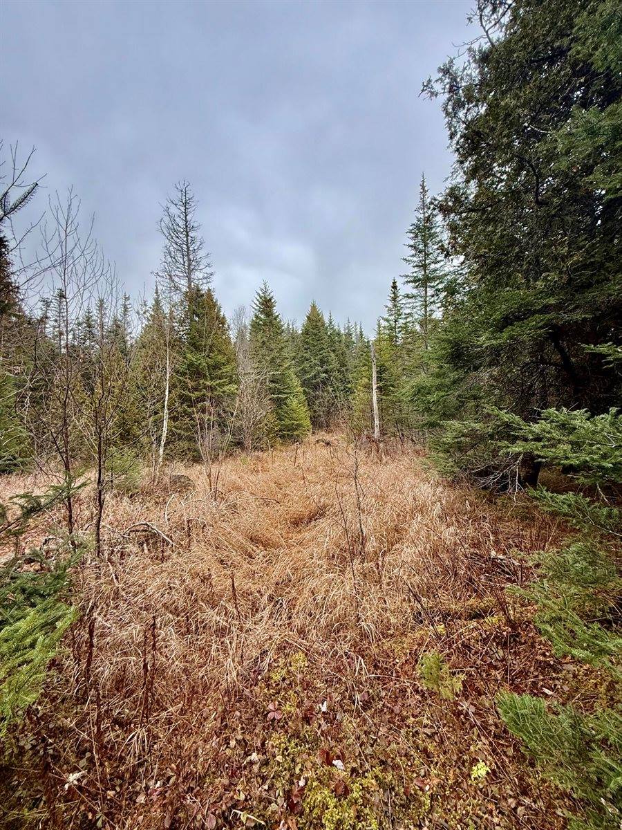 L1 Lively Brook Acres, Whiting, ME 04691