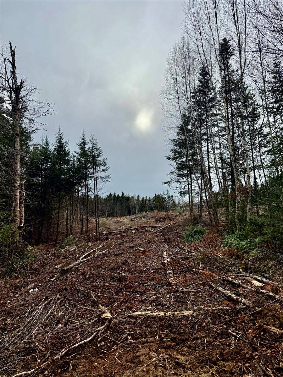 L1 Lively Brook Acres, Whiting, ME 04691