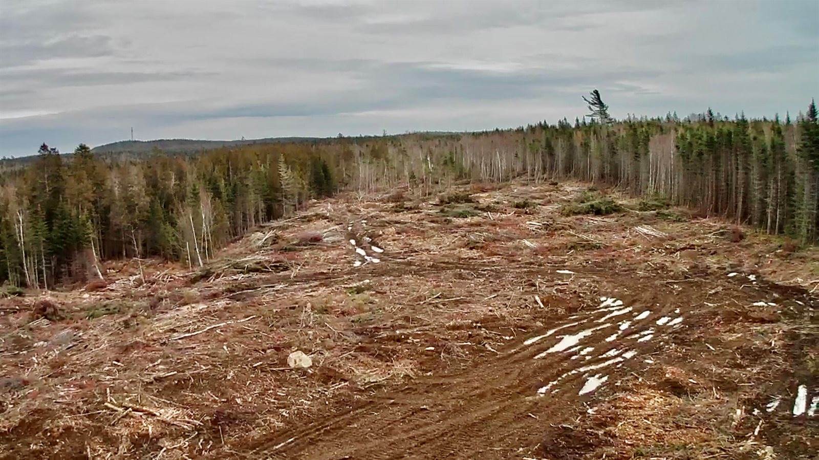 L1 Lively Brook Acres, Whiting, ME 04691