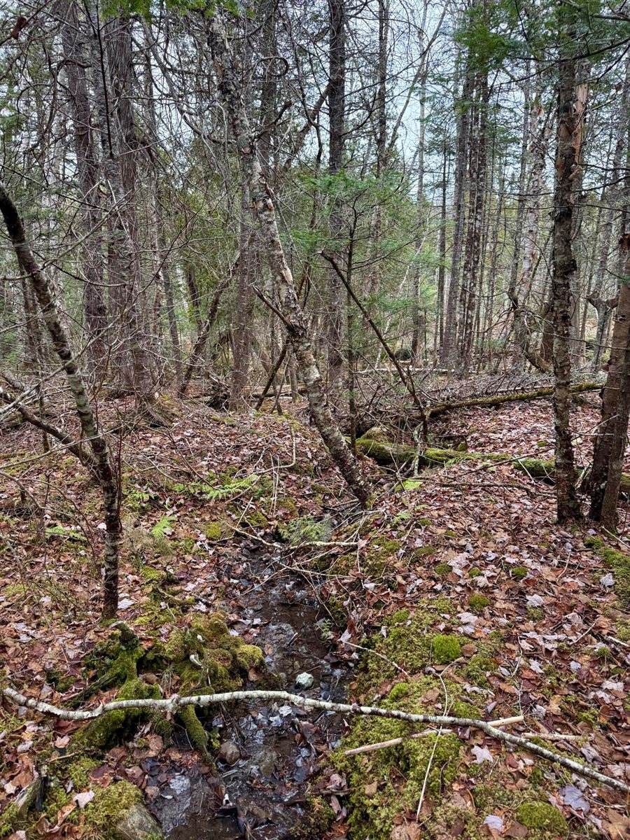 L1 Lively Brook Acres, Whiting, ME 04691