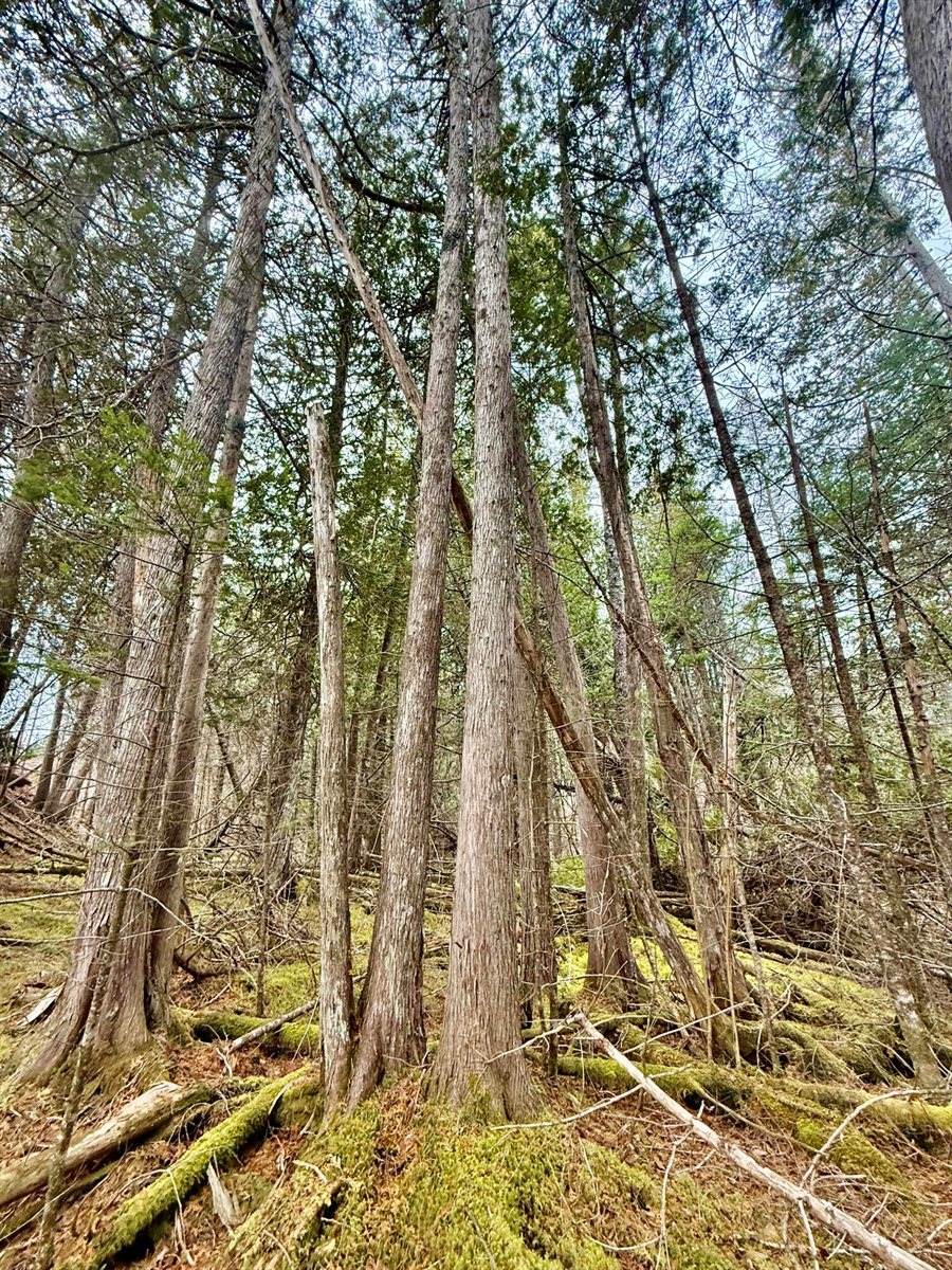 L1 Lively Brook Acres, Whiting, ME 04691