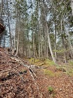 L1 Lively Brook Acres, Whiting, ME 04691
