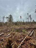 L1 Lively Brook Acres, Whiting, ME 04691