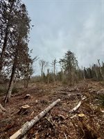 L1 Lively Brook Acres, Whiting, ME 04691