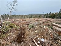 L1 Lively Brook Acres, Whiting, ME 04691