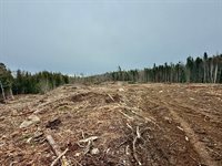 L1 Lively Brook Acres, Whiting, ME 04691